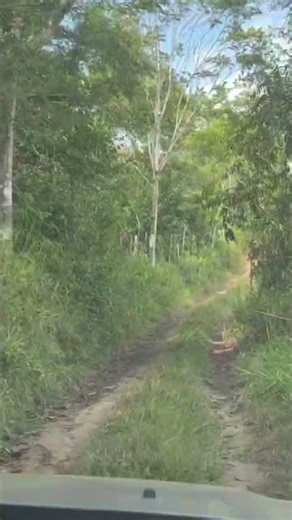 Jeep Compass Longitude, T270 1.3 turbo. Teste real em estradas e ladeiras de terra! #jeep #compass