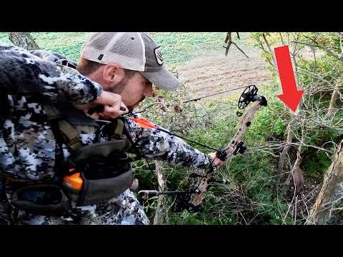 Up Close and Personal… (2 Deer Tags Filled)