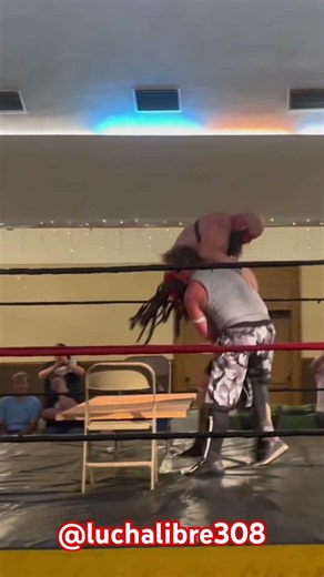 Double Spinebuster on a door