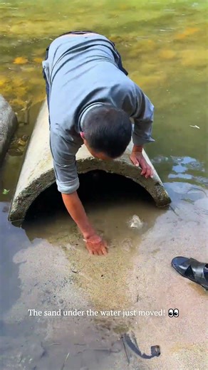 The Secret Hack to Catching Softshell Turtles! #fishinglife #catch #skills