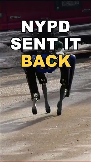 NYPD Gave Its Robot Dog Back