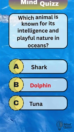 Guess the answer 👇 #trivia #generalknowledge #funquiz #iqtest #gkquiz