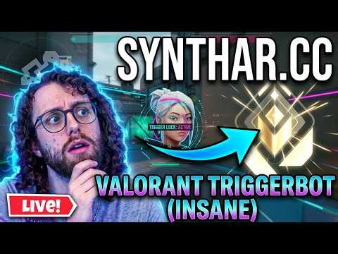 This Is How To Install Valorant Triggerbot (INSANE) !