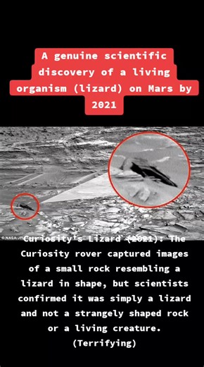 Curiosity Rover Finds Lizard-Shaped Rock on Mars