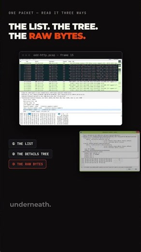 See what your network sends with Wireshark
