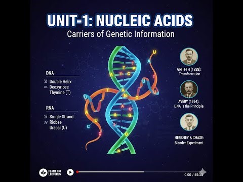Cracking the Code DNA & RNA