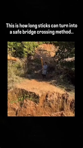 MOVIES | WEBSERIES | NETFLIX on Instagram: "This short video captures one of those moments where physics quietly does the heavy lifting. Crossing a gap with long sticks isn’t about brute force or daring—it’s about balance and load distribution. Each stick is placed deliberately, not to hold weight on its own, but to share it. When positioned correctly, the sticks press against one another and against the edges of the gap, transferring force outward instead of downward. Under pressure, the struct