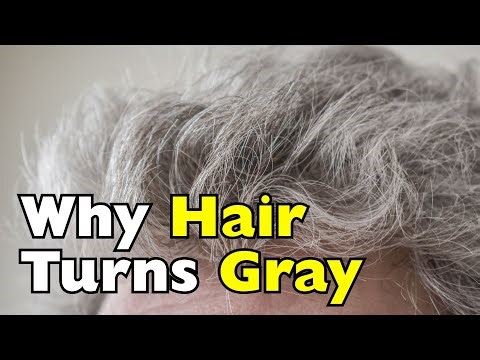 Why Does Our Hair Turn Gray as We Get Older? [ID0919]