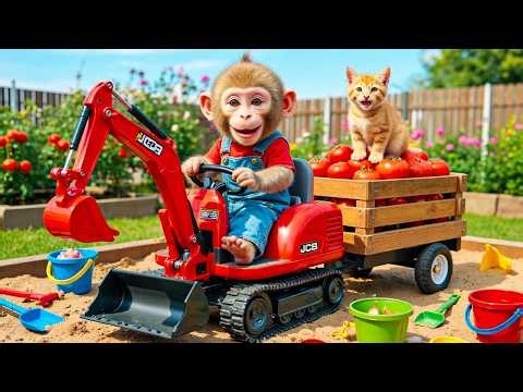 Monkey BoBo Drives Tractor to Harvest Tomatoes & Rescue a Puppy