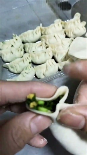 Dumplings: Perfectly Wrapped Art - Master the Art at Home