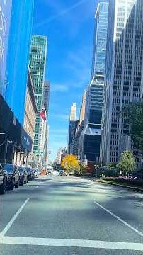 Adrift in the middle of the deafening noise of the New York jungle