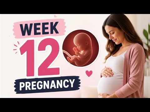 Week 12 pregnancy symptoms, baby development and nutrition 
