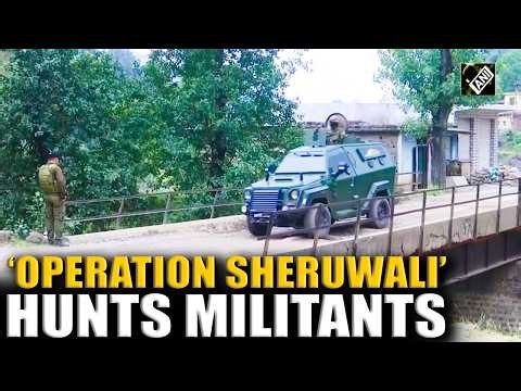 Massive anti-militant ‘Operation Sheruwali’ in Rajouri continues, search intensifies in forest area