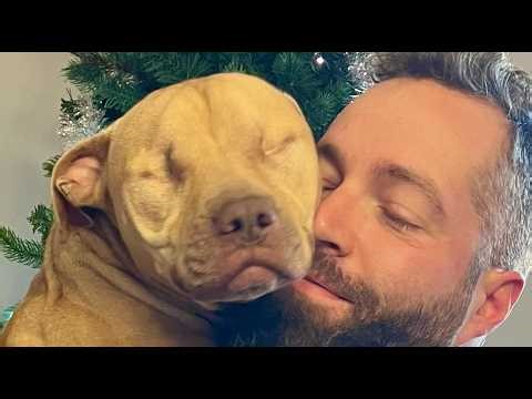 Fight dog that refused to hurt others