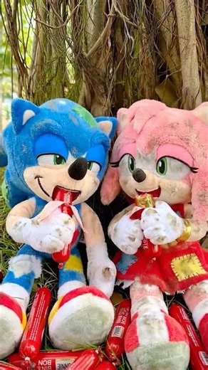 Sonic Was Hurt, But He Still Helped Others #sonicthehedgehog #sonic #reallife