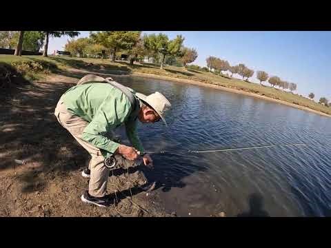 I GOT SCHOOLED! PRO FLY GUIDE CATCHES 13 RAINBOW TROUT ON HIS OWN FLY! SERIES ( PART 2 OF 4 )