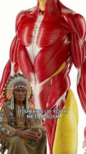 #health #healthy #history #nativeamerican #indigenous #native #americanhistory #health #usa #recipe