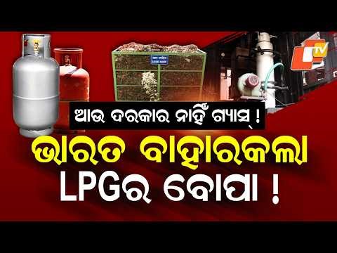Special Story: LPG Crisis Sparks Innovation! IIT Bombay Creates Cooking Gas from Dry Leaves
