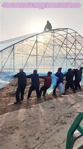 Stretching the Sky: Uniting to Seal a Greenhouse