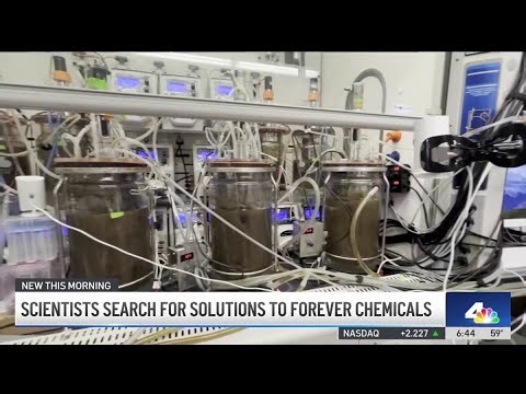 Research reveals how forever chemicals in drinking water could impact your health