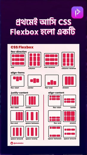 CSS Flexbox & Grid এর কার্যকারিতা! | Programming Hero