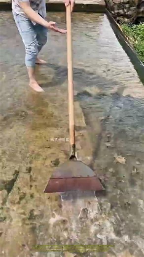 The Simple Physics Behind Moss Cleaning #satisfying