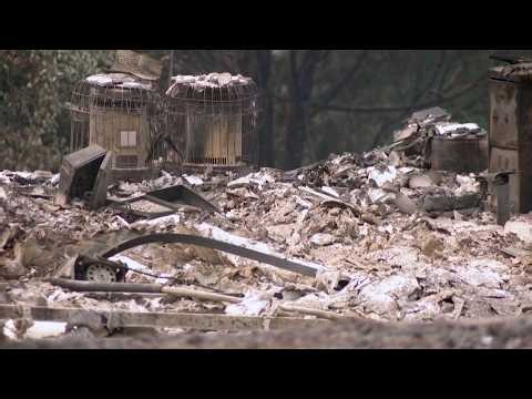 Spokane wildfires destroy homes as arson suspect faces charges