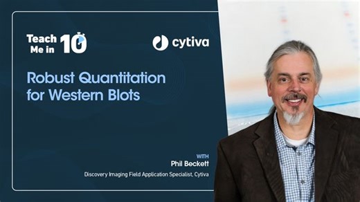 Robust Quantitation for Western Blots