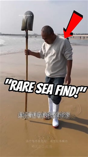RARE SEA CREATURE FOUND!! 😲