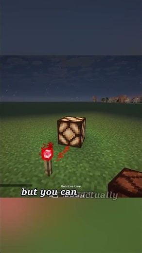 Redstone Torch Explained in 20 Seconds 😱😱😱