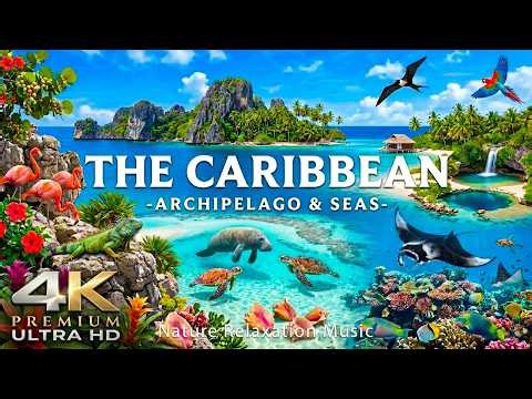Caribbean 4K 🌴 Turquoise Seas, Exotic Islands and Endless Tropical Paradise