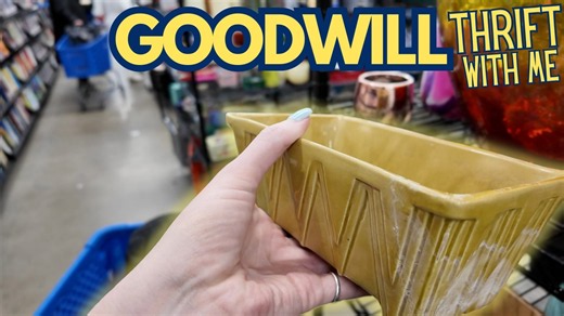 Expert thrifter uncovers valuable vintage treasures inside chaotic Goodwill store