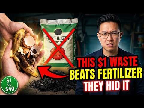 This $1 Kitchen Waste Makes ANY Plant Produce 10x More Food. Why Did Fertilizer Companies Hide It?