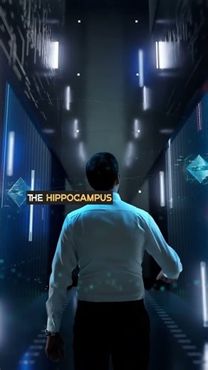 Your Brain Has Built-In GPS 🗺️🧠 Learn How It Navigates Space! the charts physical