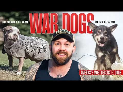 America's Top Dogs - Sgt. Stubby & Chips