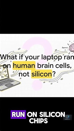 Wetware shortHIDING IN THE FUTURE: The Brain Cells Powering Your Next ComputerWetware #Biocomputing