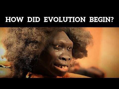 How Did Evolution Lead To Everything?