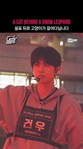 [ALD1 Let‘s Go] 설표 뒤로 고양이가 걸어다닙니다