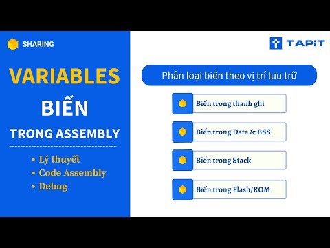 Variables trong Assembly - Lý thuyết, mã code ví dụ và debug vi xử lý ARM Cortex M