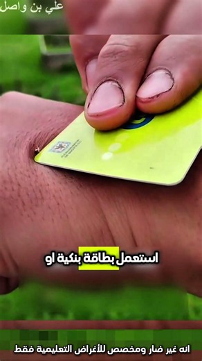 كيف تخرج العسل