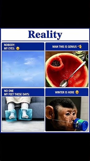 Reality Hits Different 😂 | Funny Memes Compilation #shorts