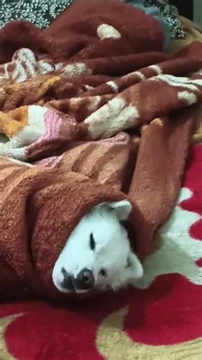 The MOST TRENDING Topics Right Now, Explained!