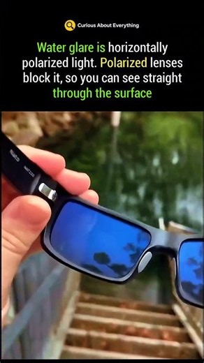 Polarized Lenses Reveal What Glare Hides 🐟