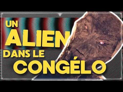 Il prétend avoir caché un alien dans son congélateur… et avoir été traqué par des agents secrets