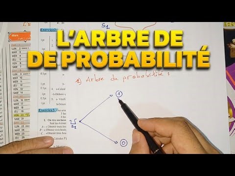 L'astuce pour ne plus jamais se tromper dans l'Arbre de Probabilité 2BAC