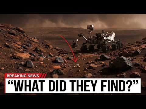 The Strangest Thing on Mars Is Six Centimetres Long and We Can't Reach It