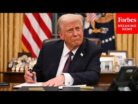 Immigration Attorney: Trying To Change The Constitution Through Executive Order 'Is An Absurdity'