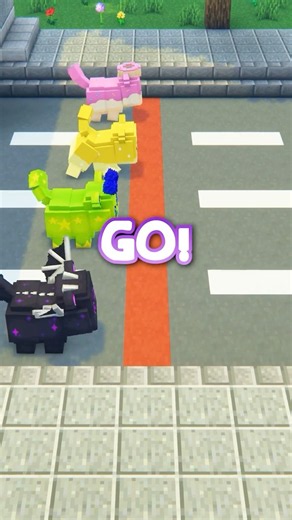 MeeMeow RACE!