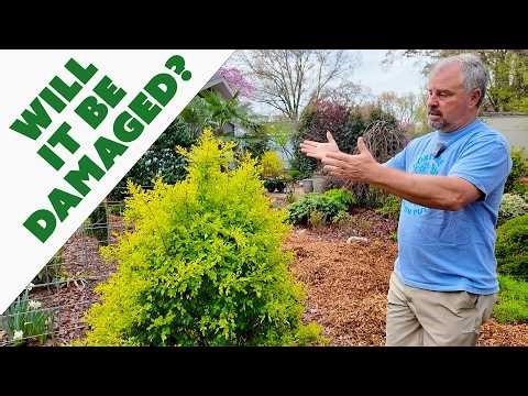 How We Are Protecting Plants from Late Cold Damage