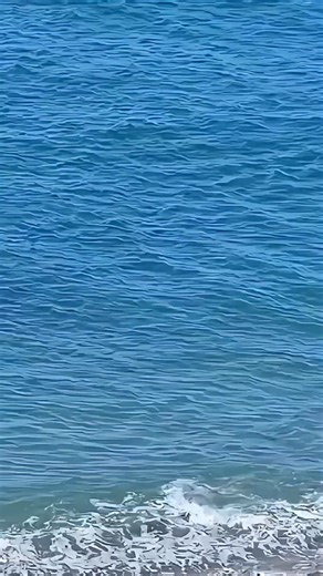 A killer whale hunting a seal on the beach, launching a brutal and relentless attack. 🦭🐋😱😱😱 . . #killerwhale #orca #orcawhale #seal #wildlife #NatureDocumentary #oceanlife #marinelife #FishLifeWorldTV | FishLife world TV